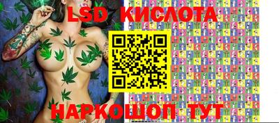 jwh Кингисепп