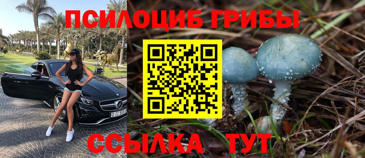 Псилоцибиновые грибы мухоморы  Вход с VPN  как найти наркотики  Корсаков 