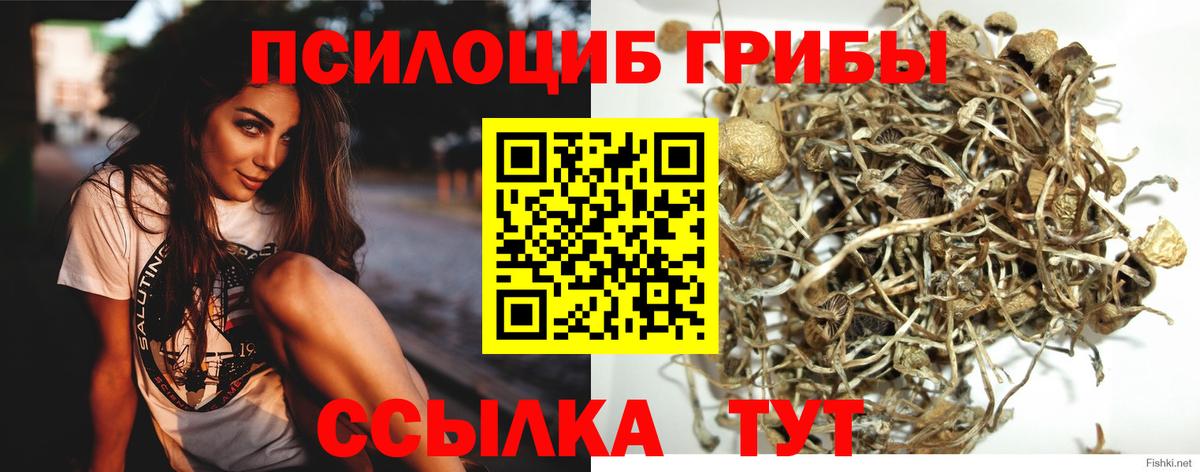 Галлюциногенные грибы мухоморы Корсаков